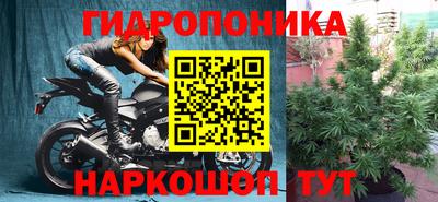 дживик Можга