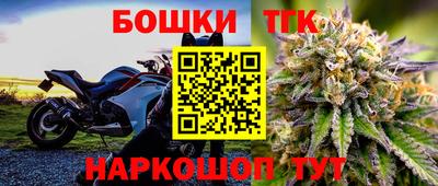 дживик Моздок