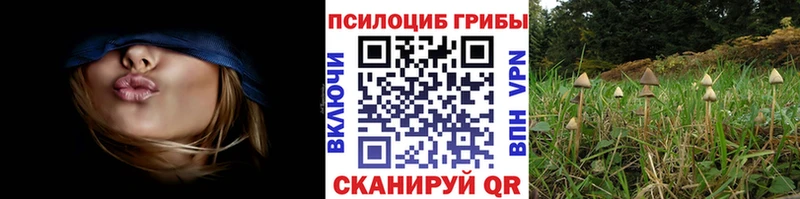 Псилоцибиновые грибы MAGIC MUSHROOMS  Хасавюрт 