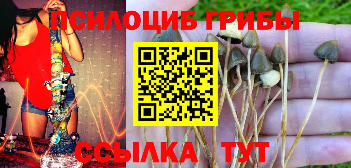 Хасавюрт  Галлюциногенные грибы Magic Shrooms  Вход с VPN 