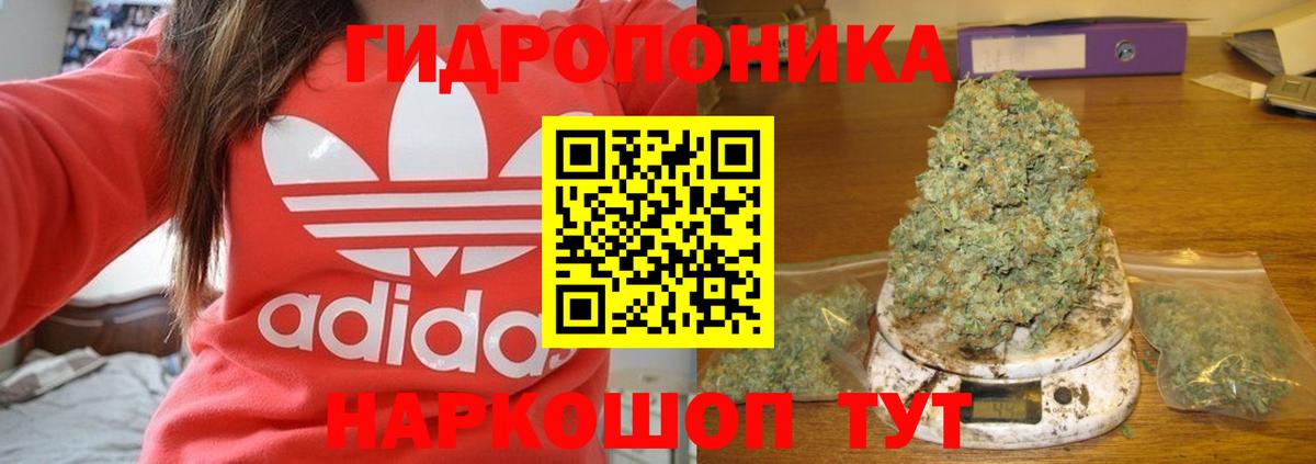 Каннабис индика  Марихуана VHQ  Шишки марихуана AK-47  Вход с VPN  Хасавюрт  Канабис Ganja 